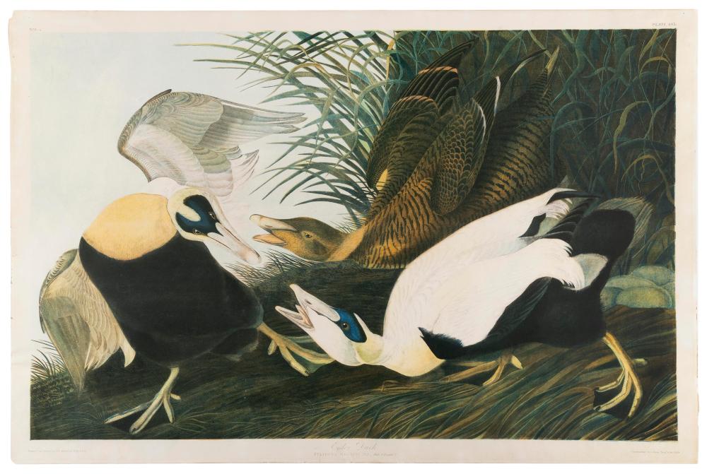 BIEN EDITION CHROMOLITHOGRAPH AFTER