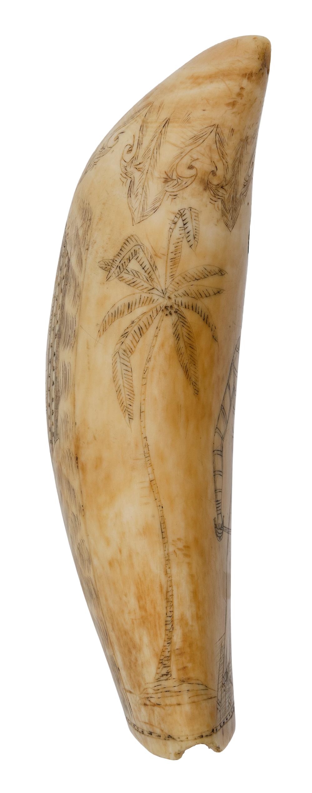 SCRIMSHAW WHALE'S TOOTH WITH BRITISH