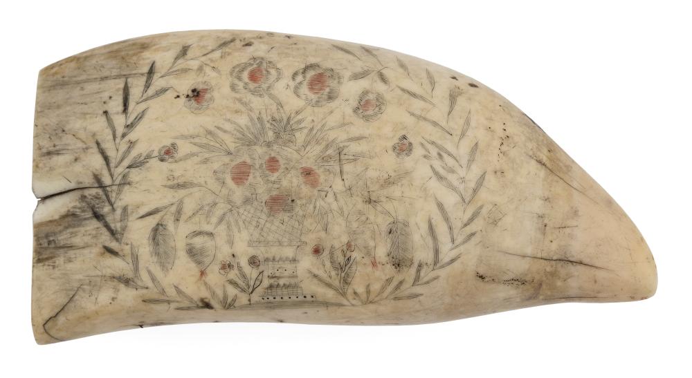 POLYCHROME SCRIMSHAW WHALE'S TOOTH