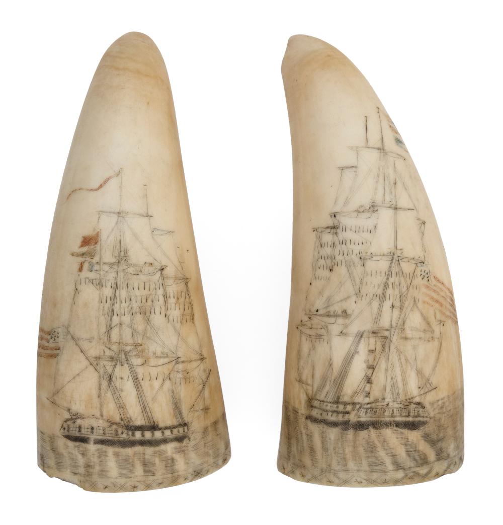 PAIR OF POLYCHROME SCRIMSHAW WHALE S 350133