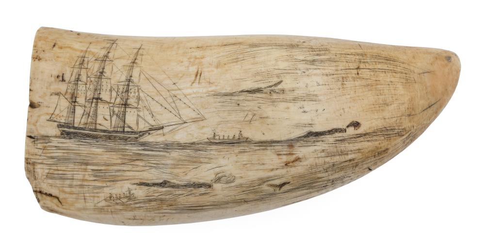 LARGE SCRIMSHAW WHALE S TOOTH WITH 35012e