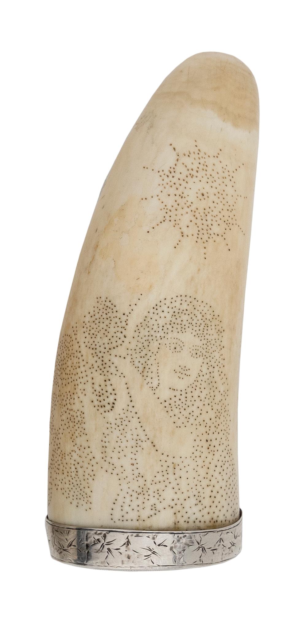 PINPOINT SCRIMSHAW WHALE'S TOOTH