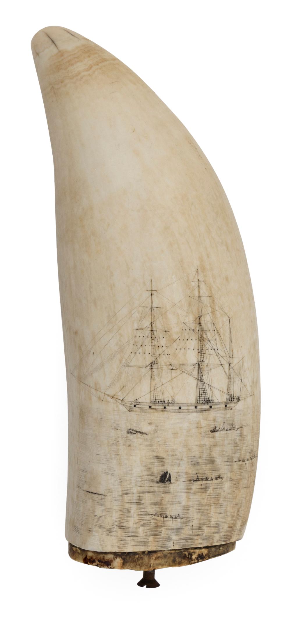 LARGE SCRIMSHAW WHALE'S TOOTH WITH