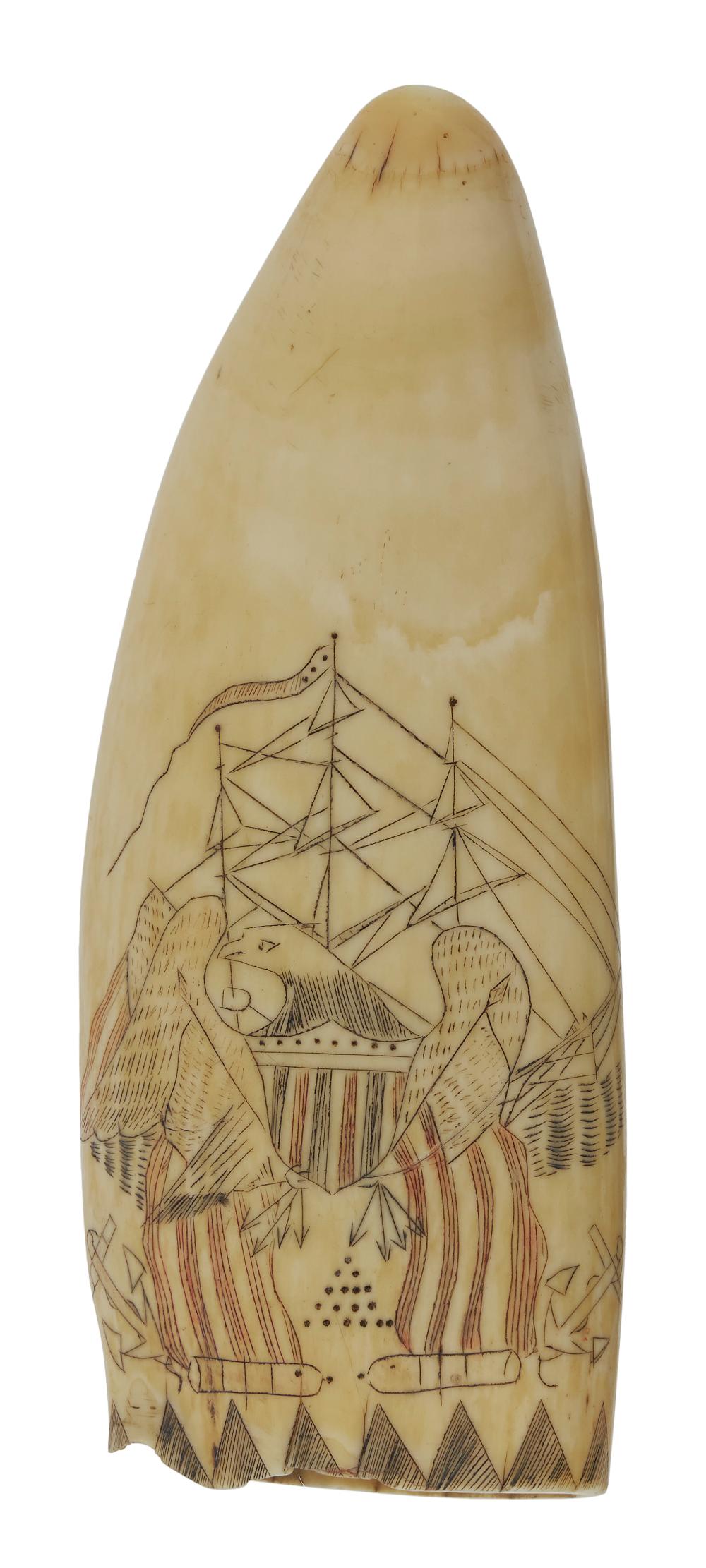 POLYCHROME SCRIMSHAW WHALE S TOOTH 350171