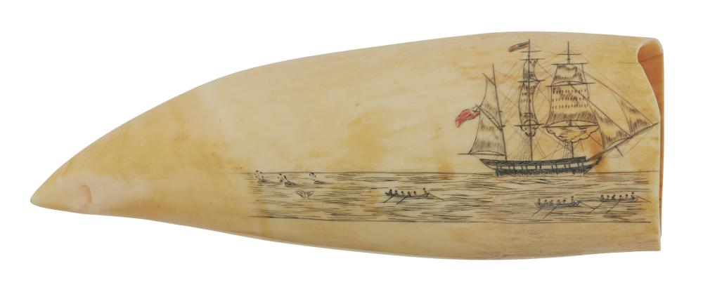 POLYCHROME SCRIMSHAW WHALE S TOOTH 35016d