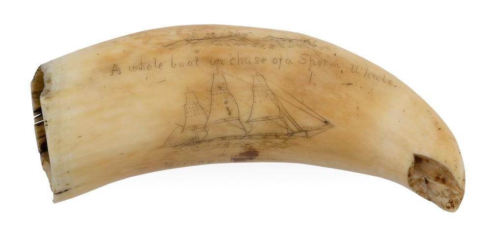 SCRIMSHAW WHALES TOOTH DATED 1842 LENGTH