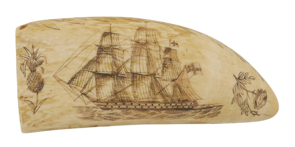 SCRIMSHAW WHALE S TOOTH WITH TROPICAL 350176