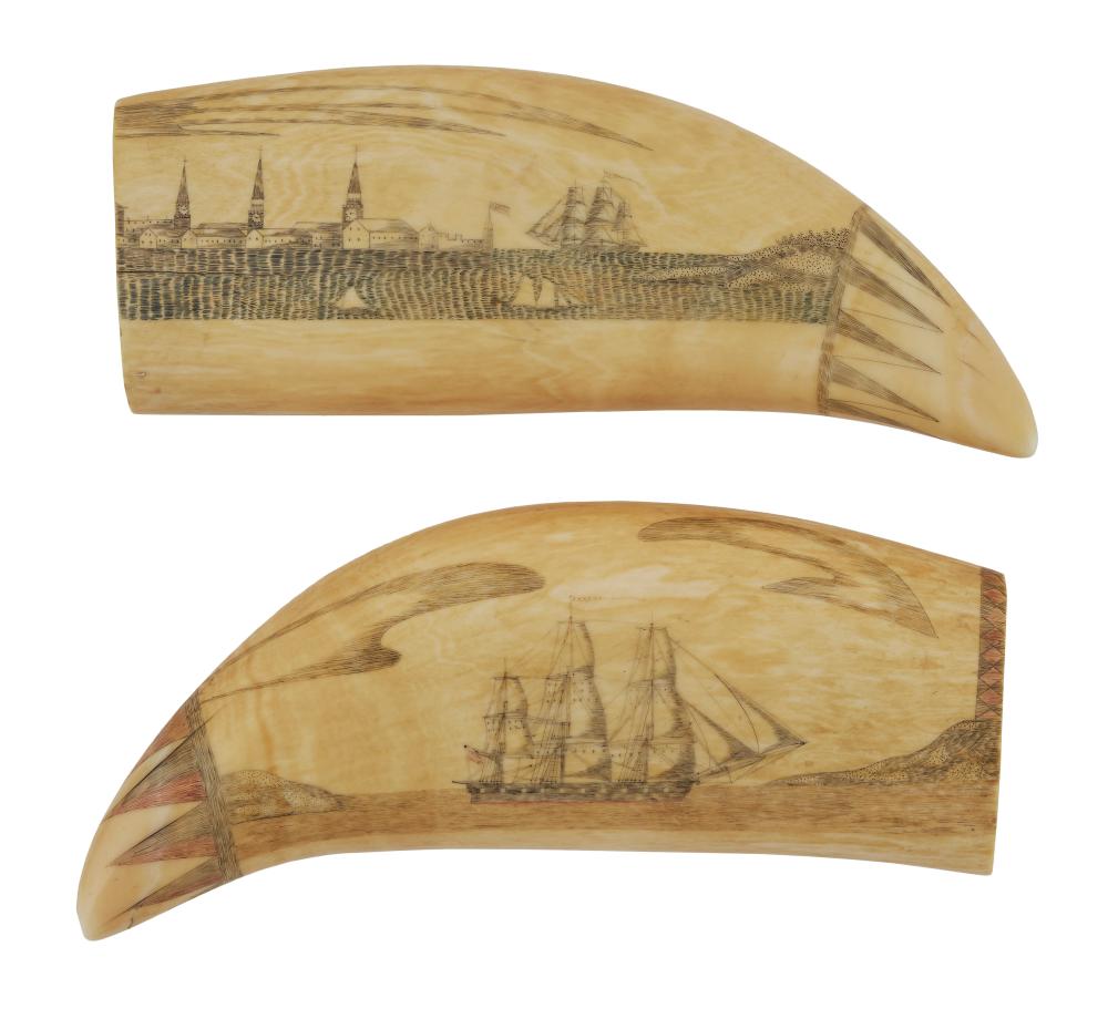 PAIR OF POLYCHROME SCRIMSHAW WHALE S 350182