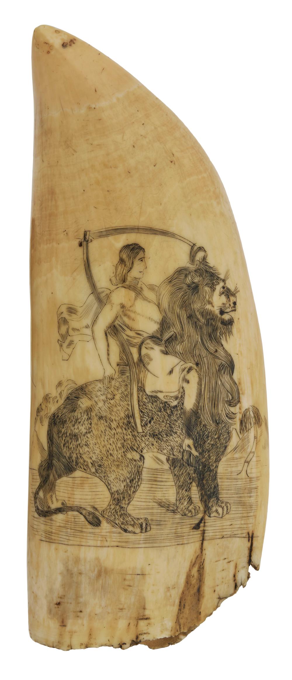 LARGE SCRIMSHAW WHALES TOOTH WITH MYTHOLOGICAL