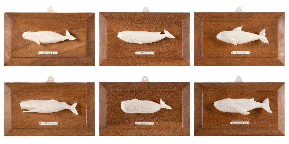  SET OF SIX CARVED WHALEBONE WHALE 35019a