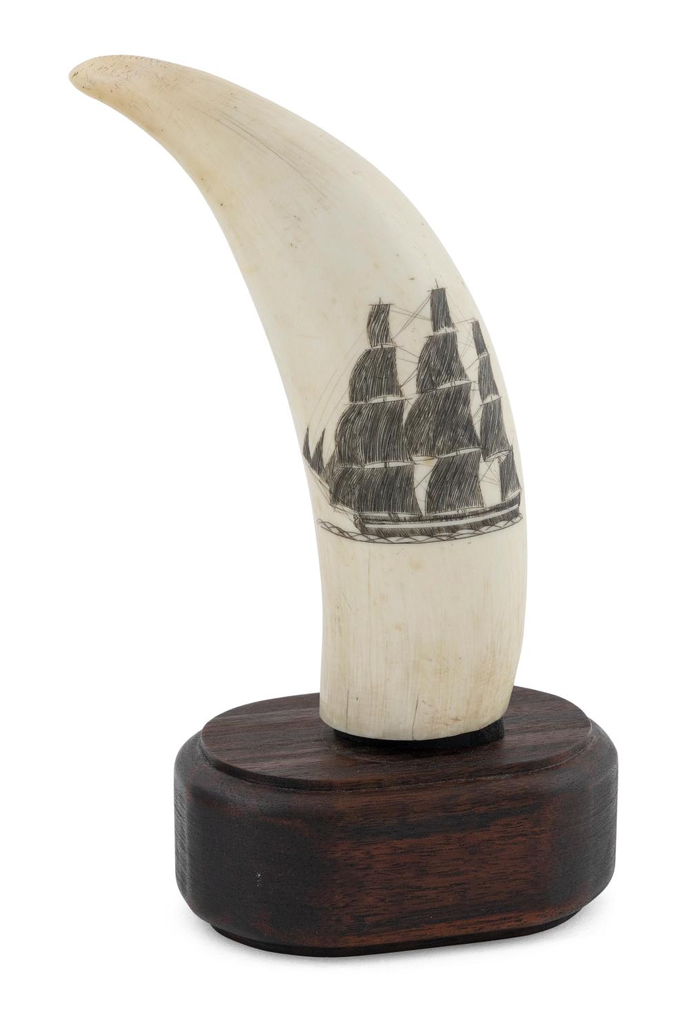 SCRIMSHAW WHALE S TOOTH WITH CLIPPER 35019c