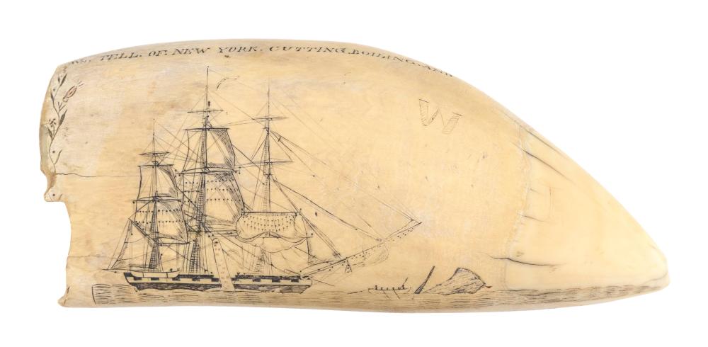 POLYCHROME SCRIMSHAW WHALE'S TOOTH