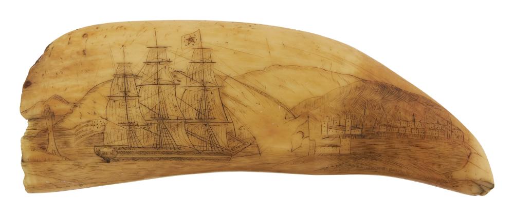 SCRIMSHAW WHALE S TOOTH WITH FOREIGN 3501d6