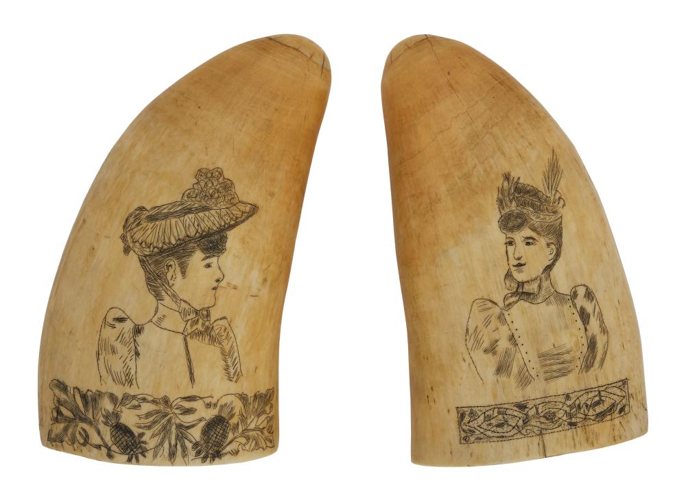 PAIR OF SCRIMSHAW WHALE S TEETH 3501ee