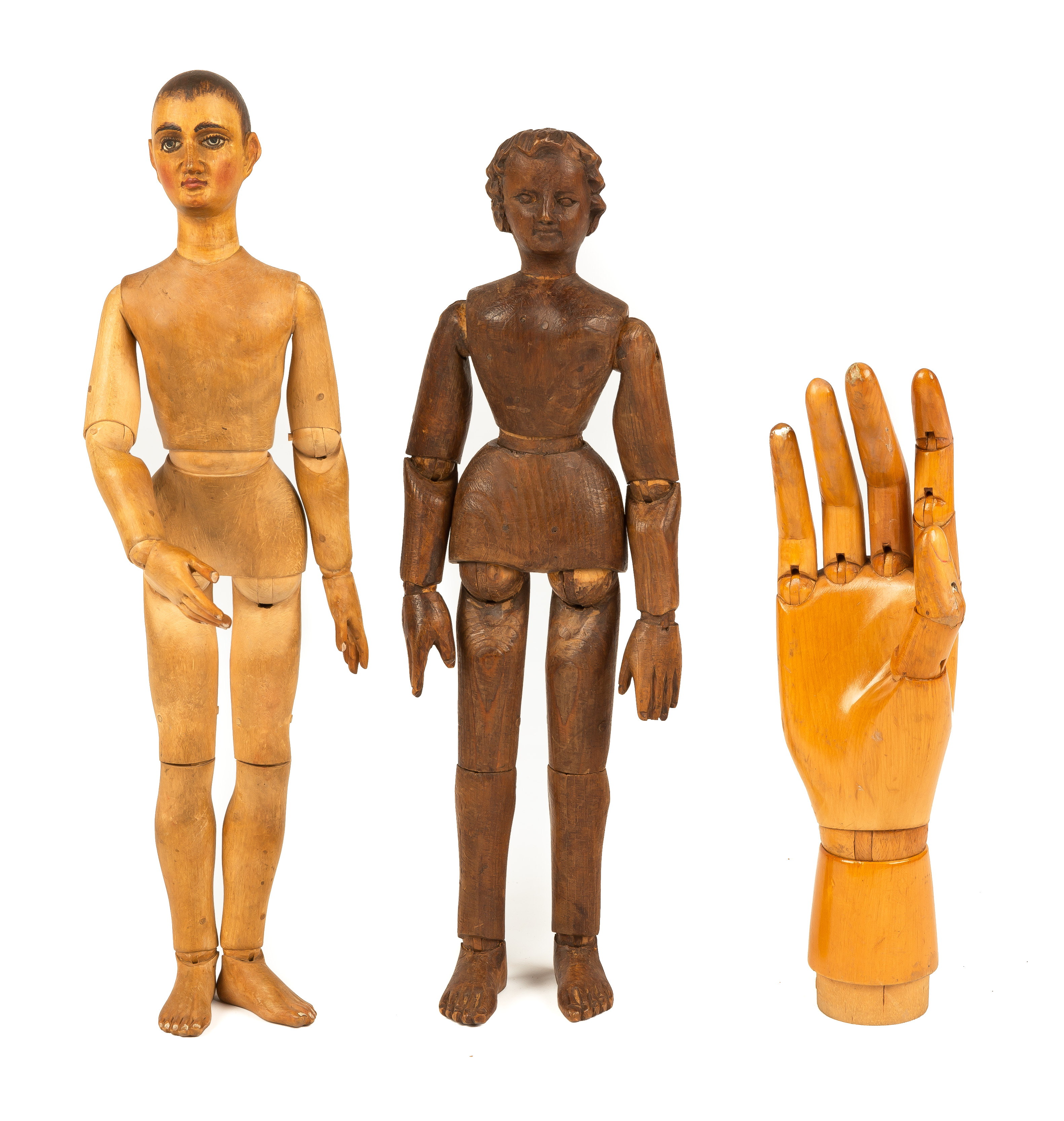 TWO RETICULATED ARTIST MODELS AND HAND