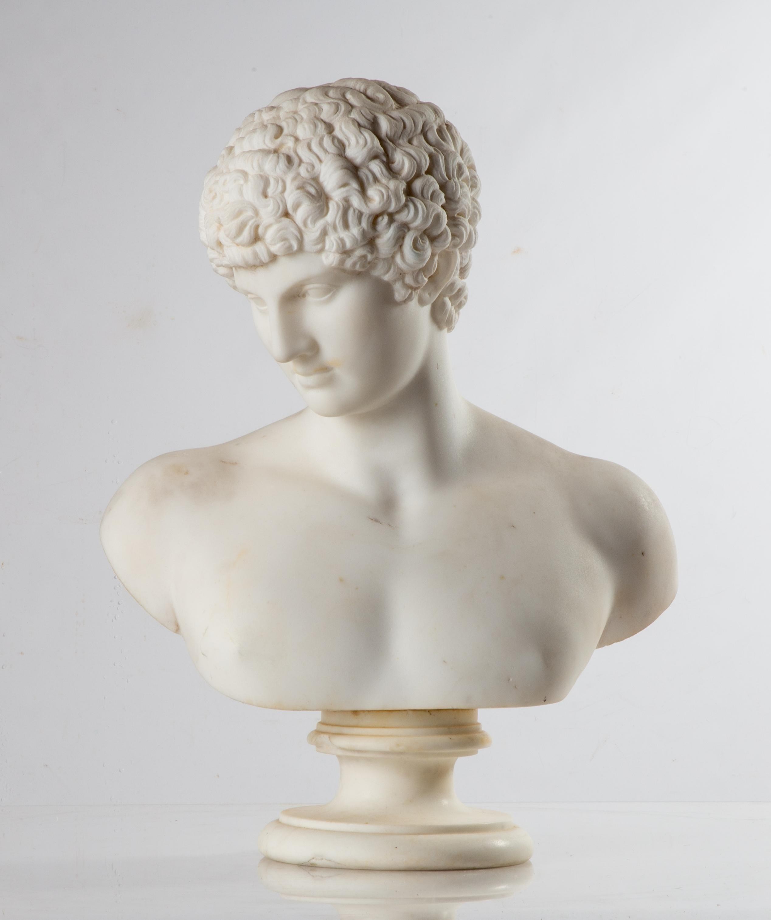 MARBLE BUST OF CAPITOLINE (ANTINOUS)