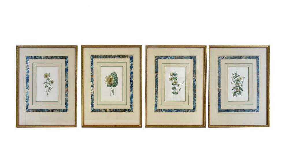 SET OF FOUR BOTANICAL WATERCOLORS