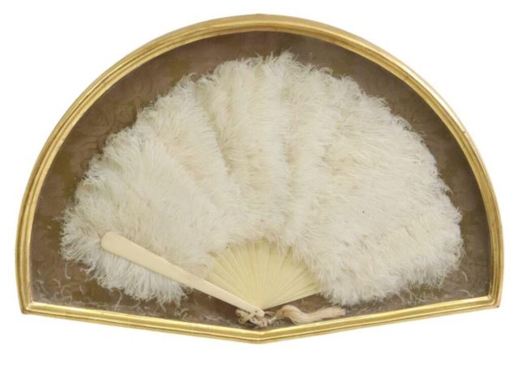 SHADOWBOX FRAMED LADIES WHITE FEATHER