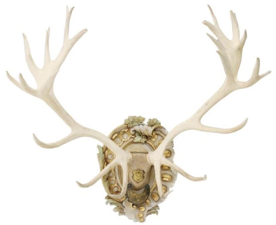 AUSTRIAN HAPSBURG RED STAG ANTLER