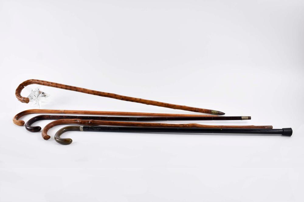 NINE VARIOUS WOOD AND METAL CANES20th