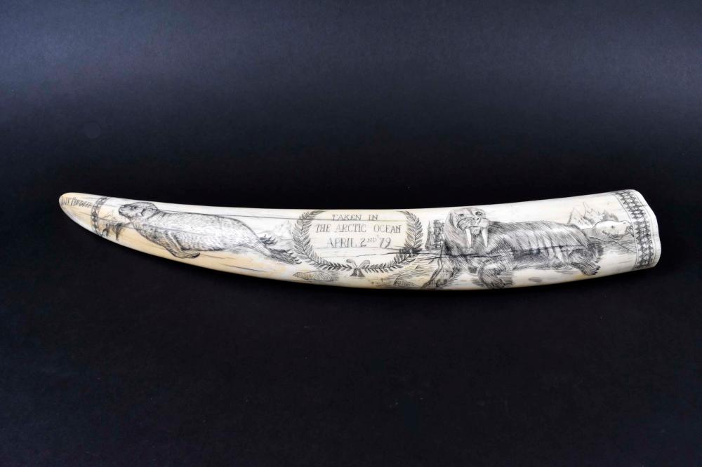 INUIT ETCHED WALRUS TUSKCirca 1879.