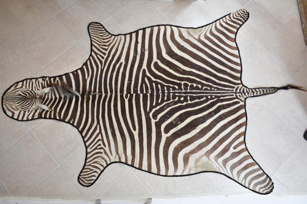 ZEBRA HIDE PELTThe full body skin