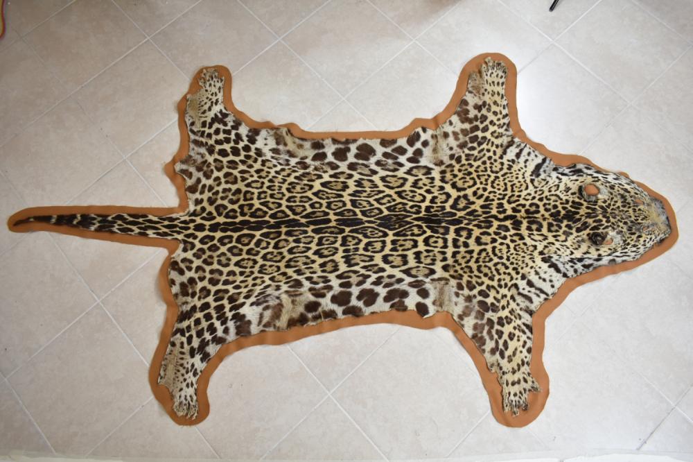 JAGUAR HIDE PELTThe full body pelt 35493b