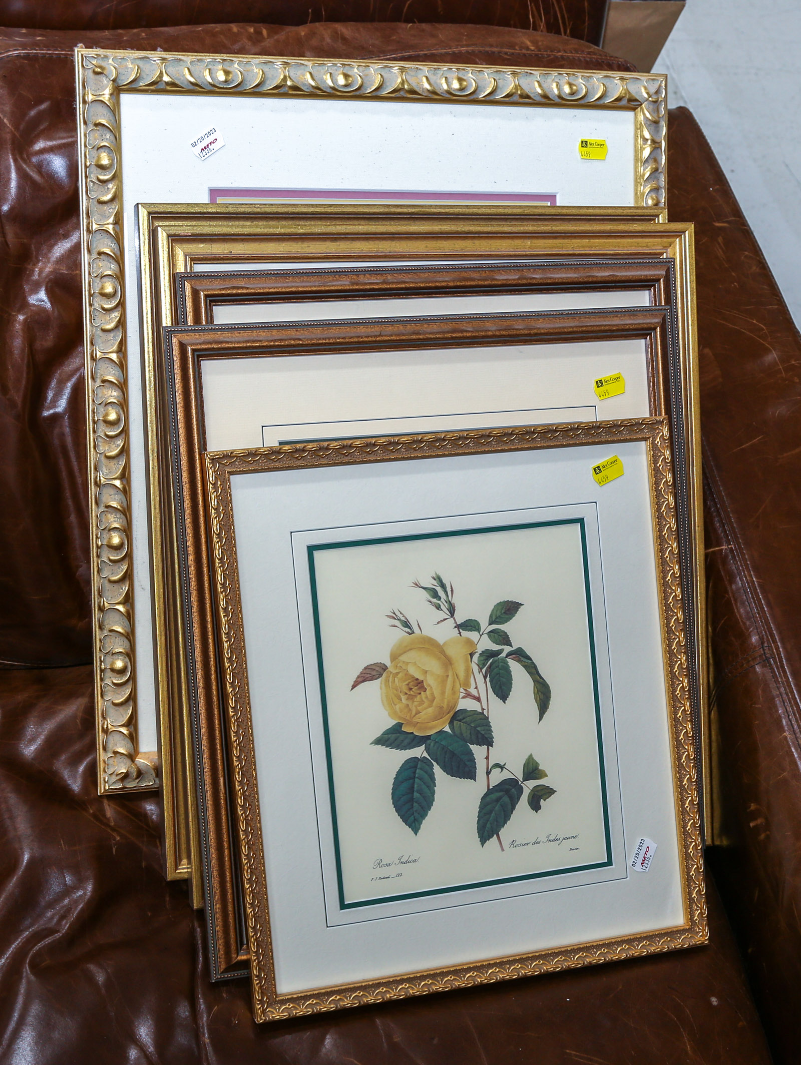 SEVEN FRAMED BOTANICAL PRINTS 20th 354bb0