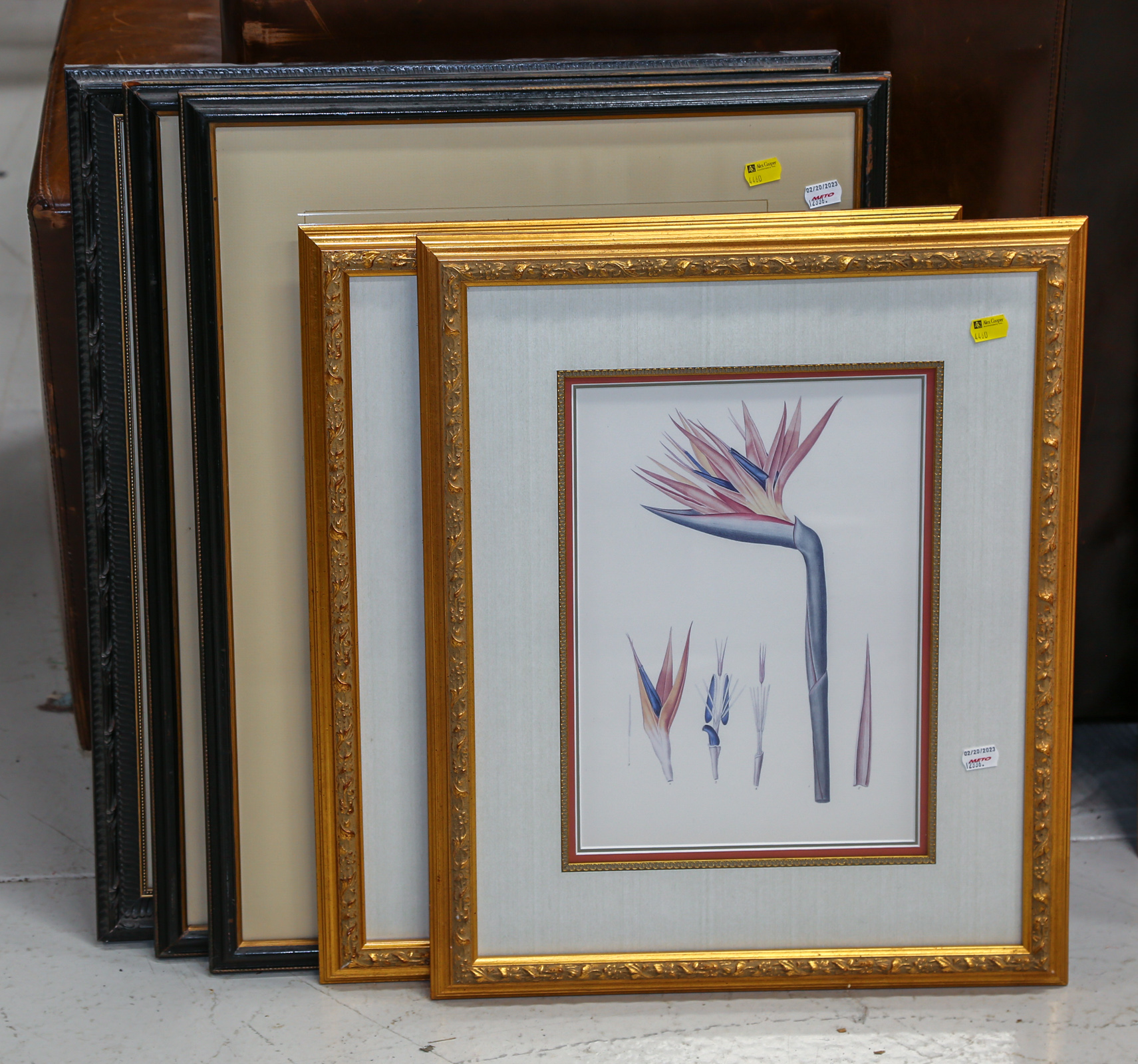 FIVE FRAMED BOTANICAL THEMED PRINTS 354bb1