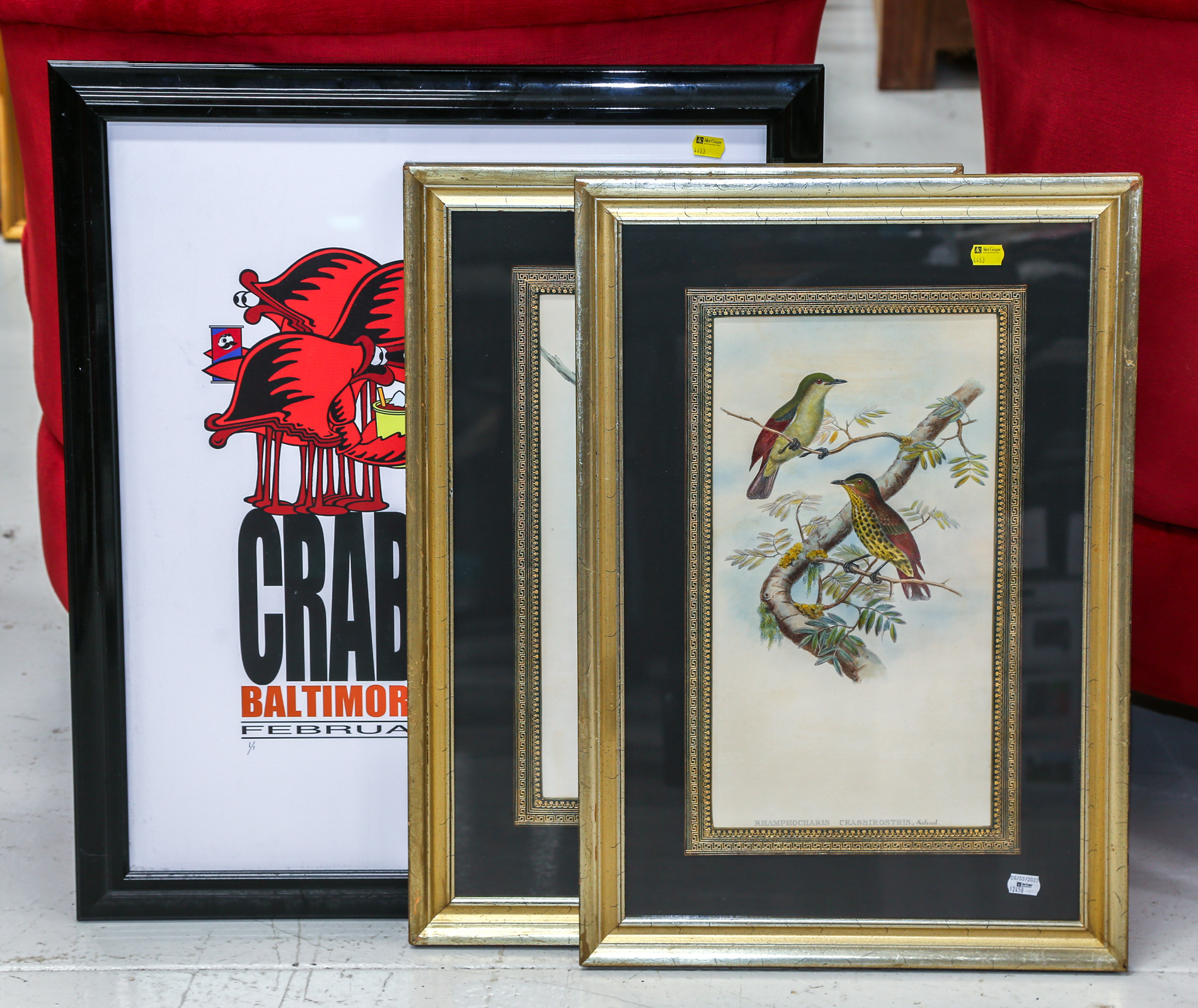 TWO FRAMED BIRD LITHOGRAPHS 19th 354bb4