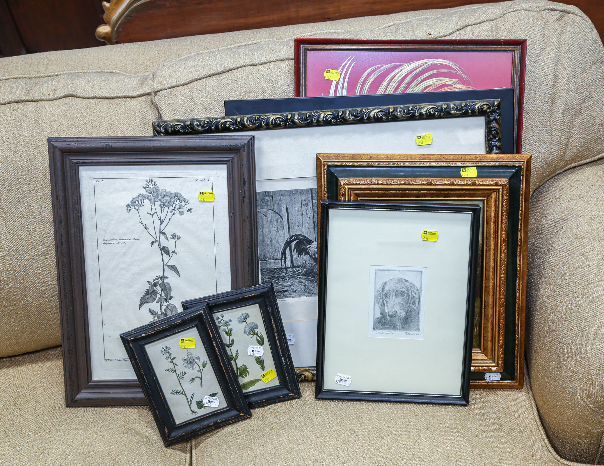 THREE ANTIQUE FRAMED BOTANICAL