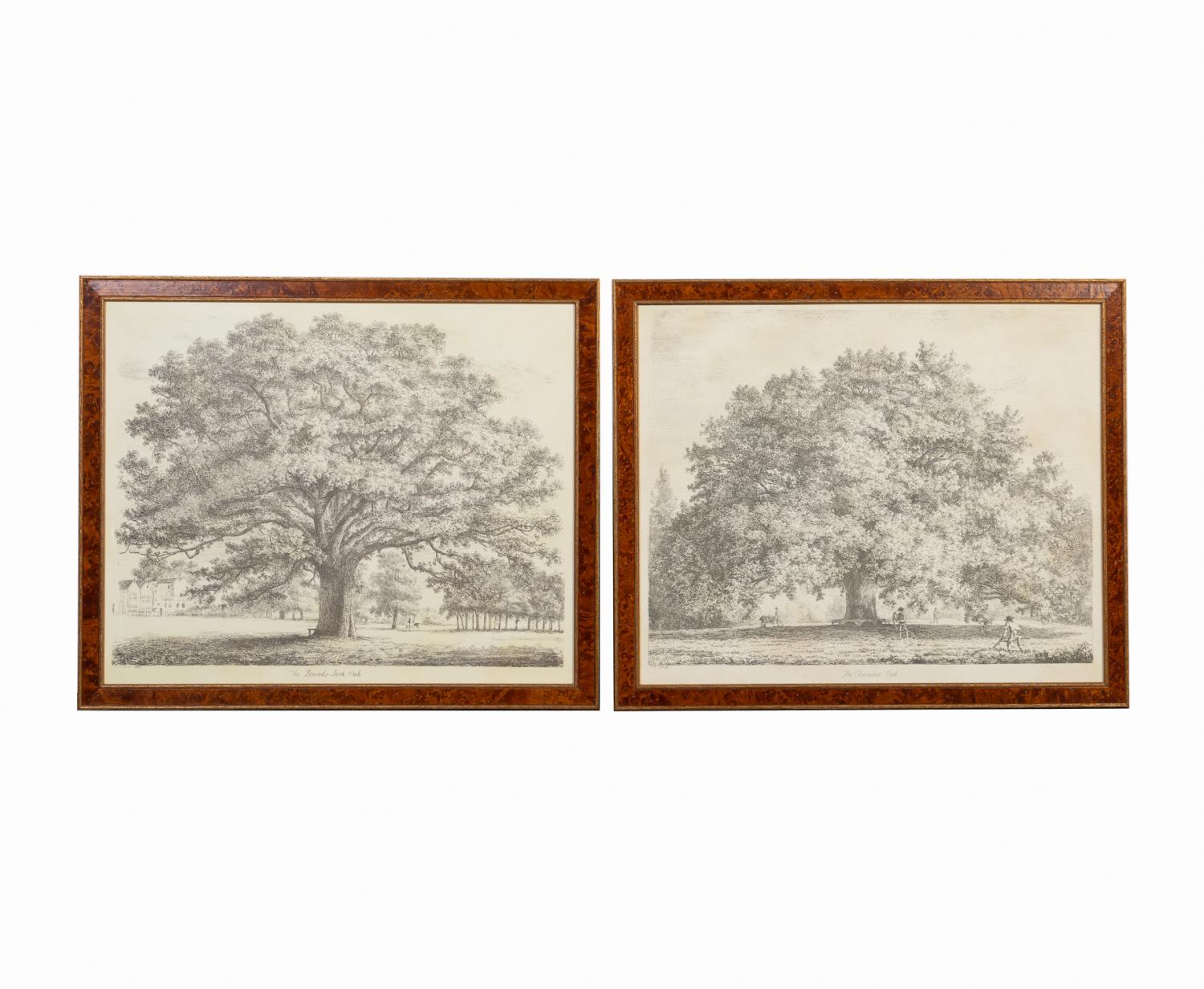 PR AFTER J G STRUTT TREE PRINTS 357ffe