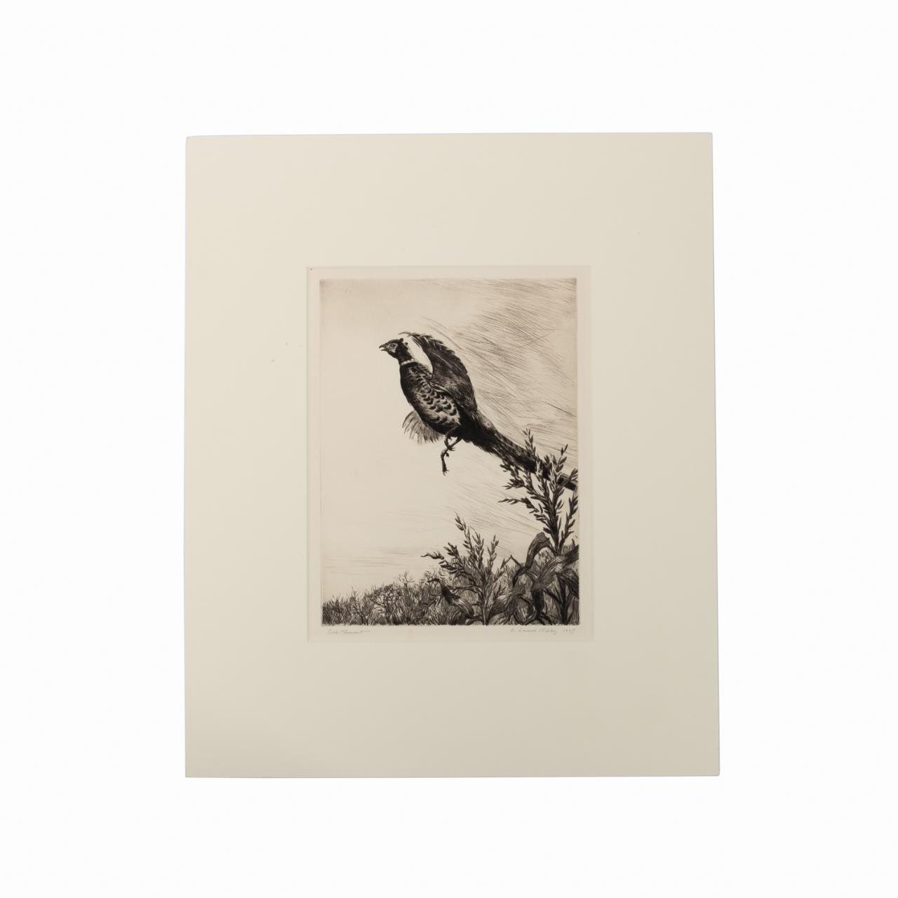 AIDEN LASSELL RIPLEY ETCHING COCK 358067