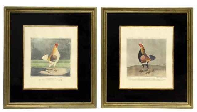 (2) FRAMED ENGLISH COCK FIGHTING