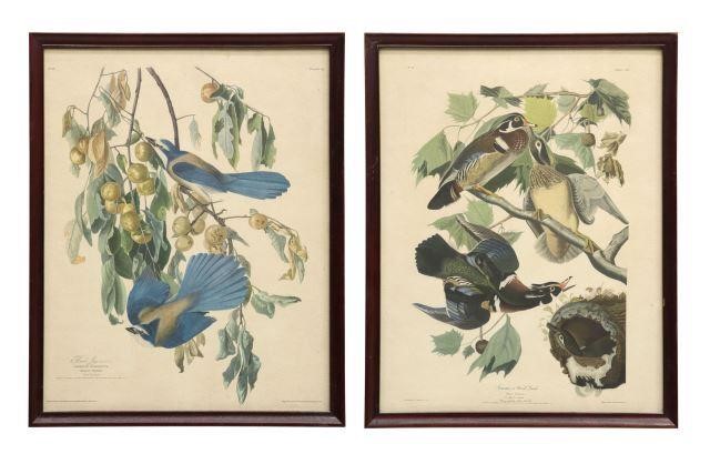  2 FRAMED ORNITHOLOGY PRINTS AFTER 358bf2