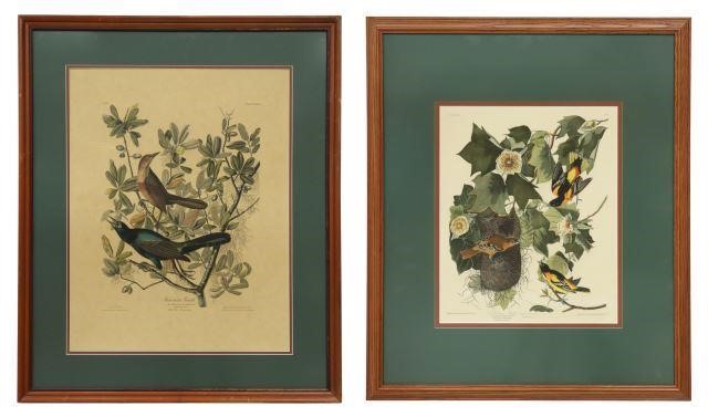  2 FRAMED ORNITHOLOGY PRINTS AFTER 358bee