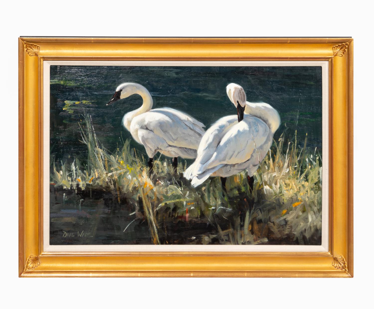 DAVE WADE, TWO SWANS, OIL ON PANEL,