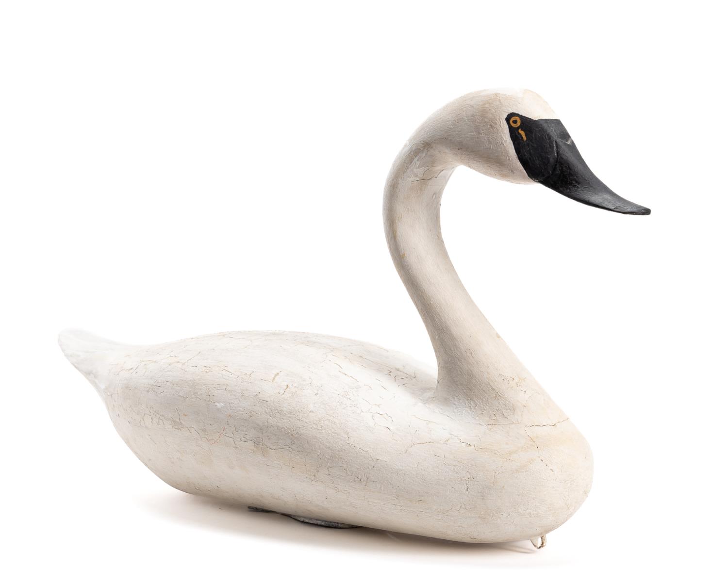 19TH C. LIFE-SIZE TRUMPETER SWAN
