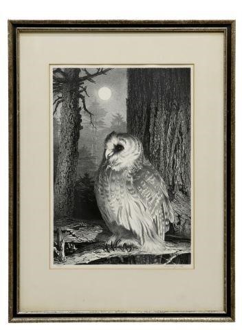 STOW WENGENROTH (1906-1978) OWL LITHOGRAPHFramed