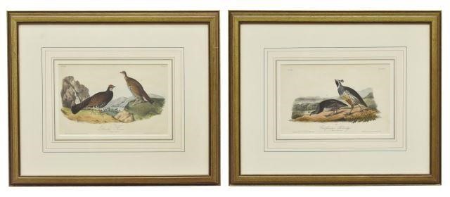 (2) FRAMED AUDUBON BIRDS OF AMERICA