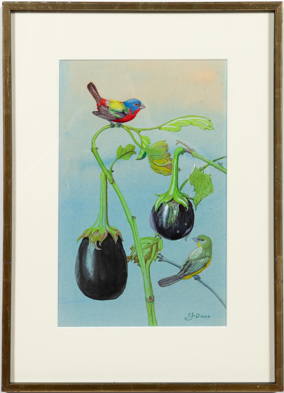 EDWARD VON S DINGLE, ORNITHOLOGY, PAINTED