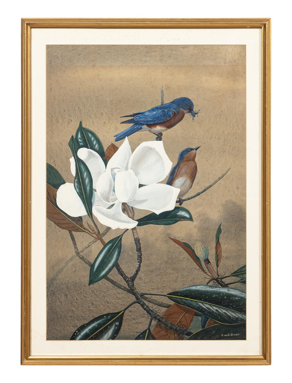 EDWARD DINGLE BLUEBIRD AND MAGNOLIA 35d8f4