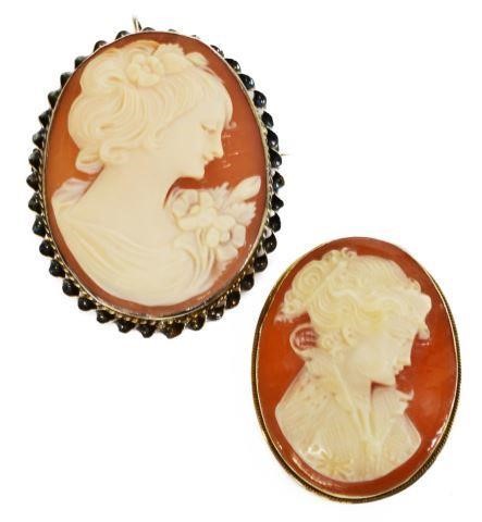 (2) LADIES CAMEO PENDANT BROOCHES(lot