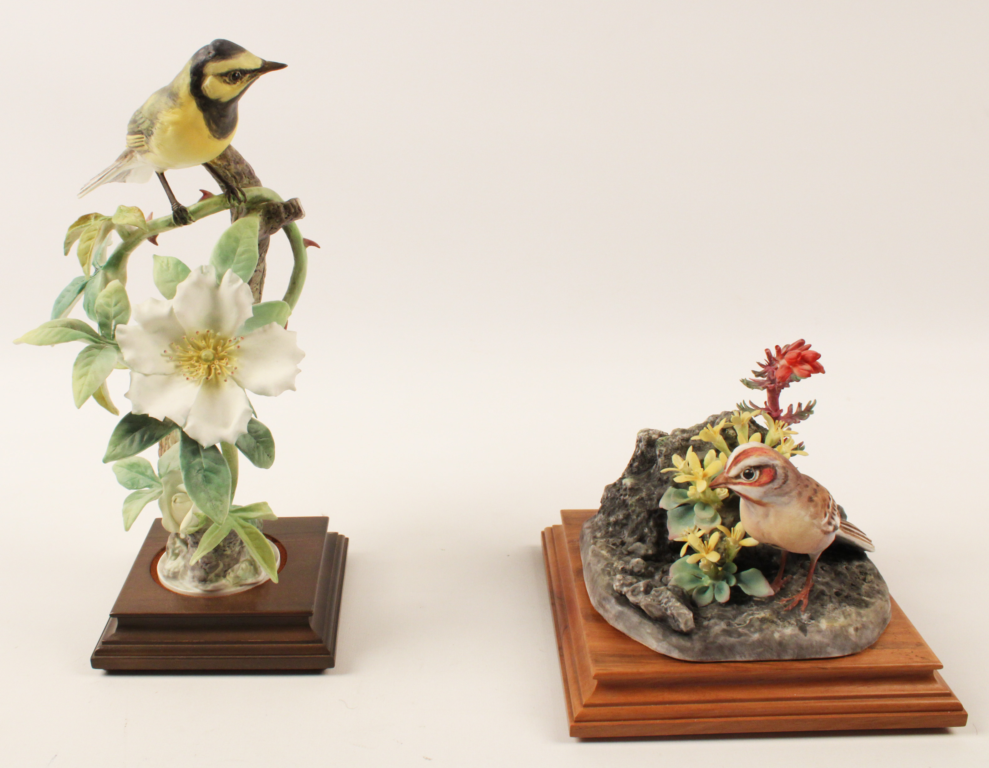 TWO PORCELAIN BIRD MODELS BY DOROTHY