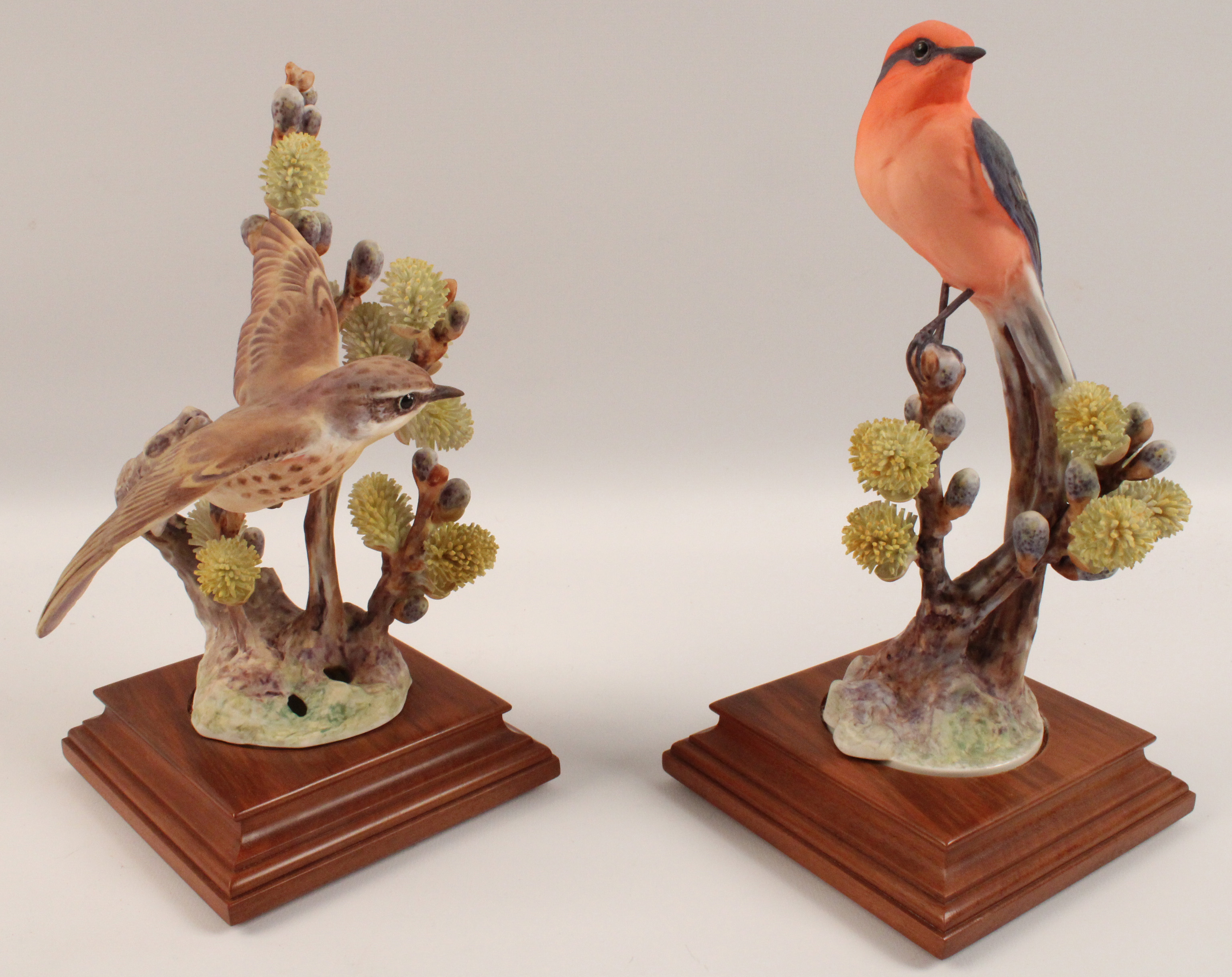 PR OF VERMILION FLYCATCHERS ON