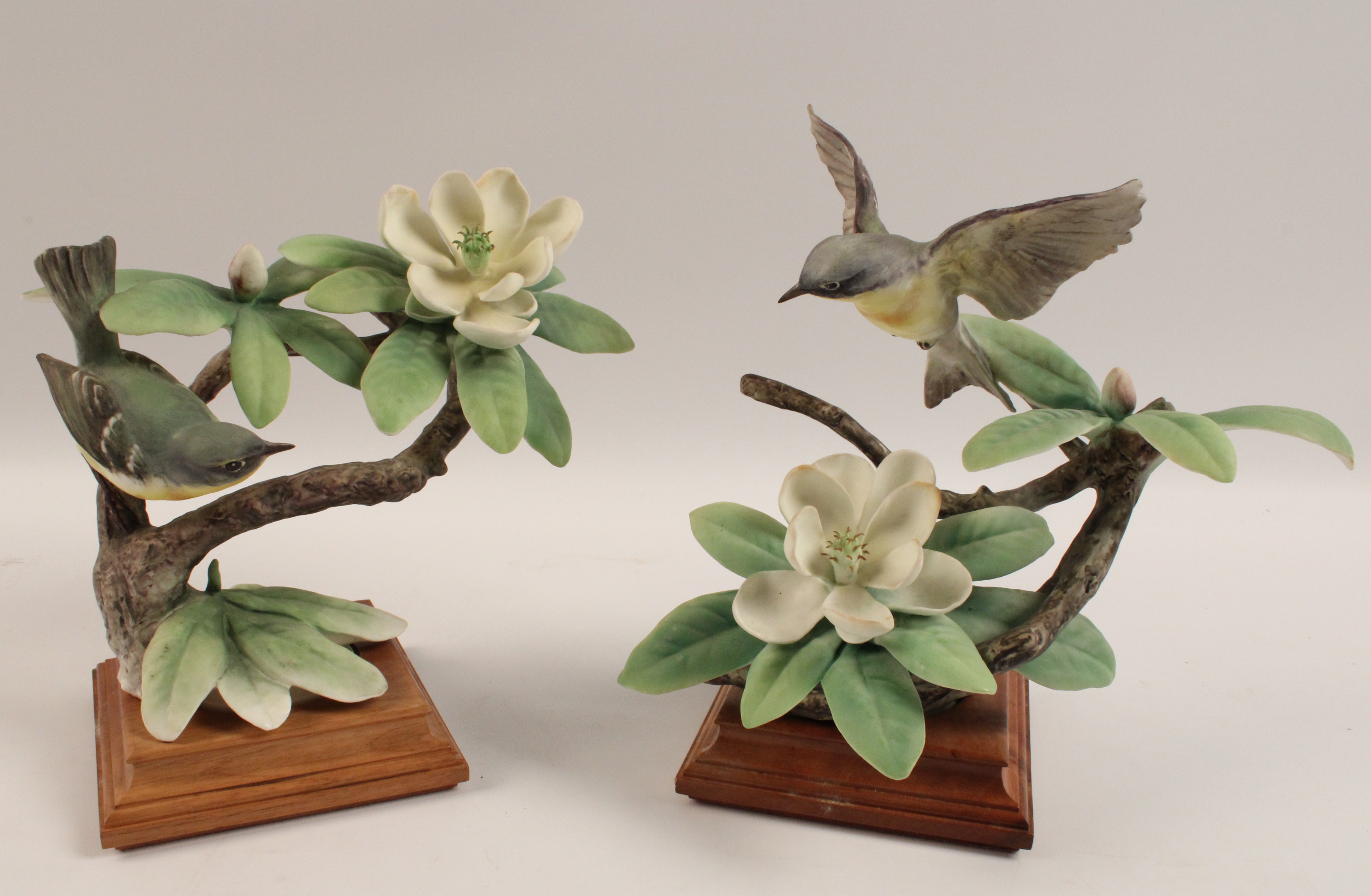 PR OF PARULA WARBLERS BY DOROTHY 35fa09