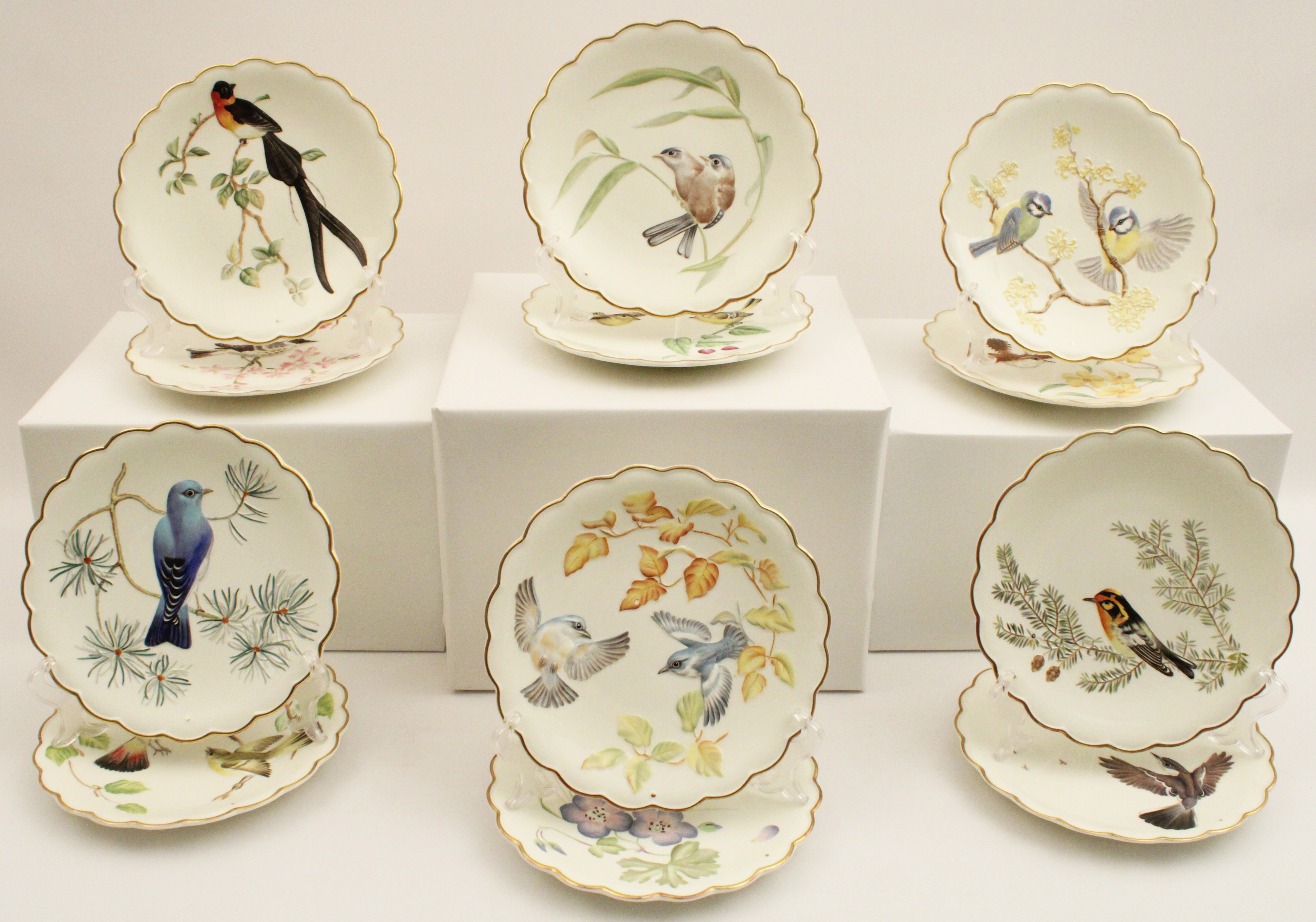 SET OF 12 DOROTHY DOUGHTY BIRD