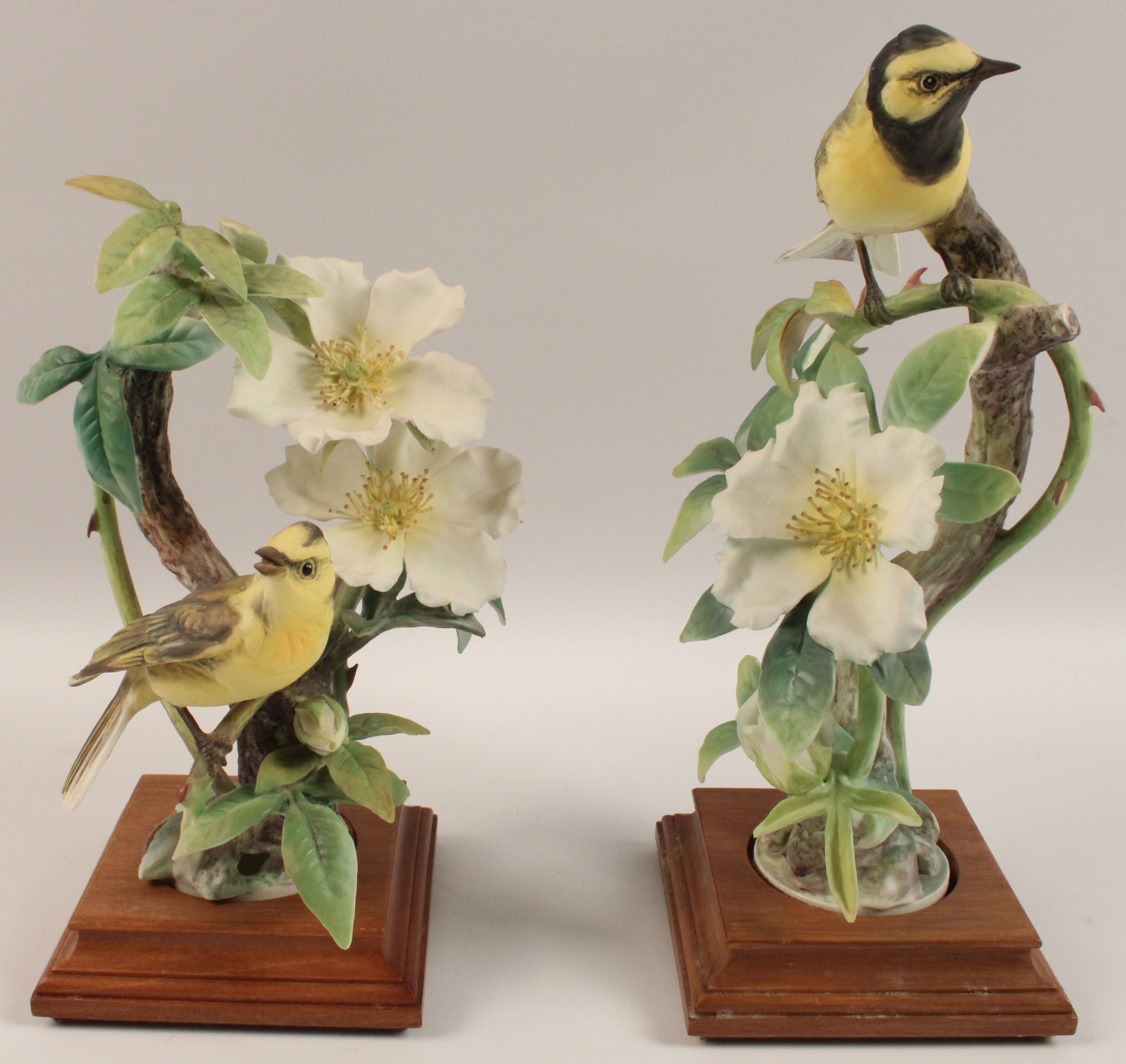 PR OF PORCELAIN HOODED WARBLERS 35fa44