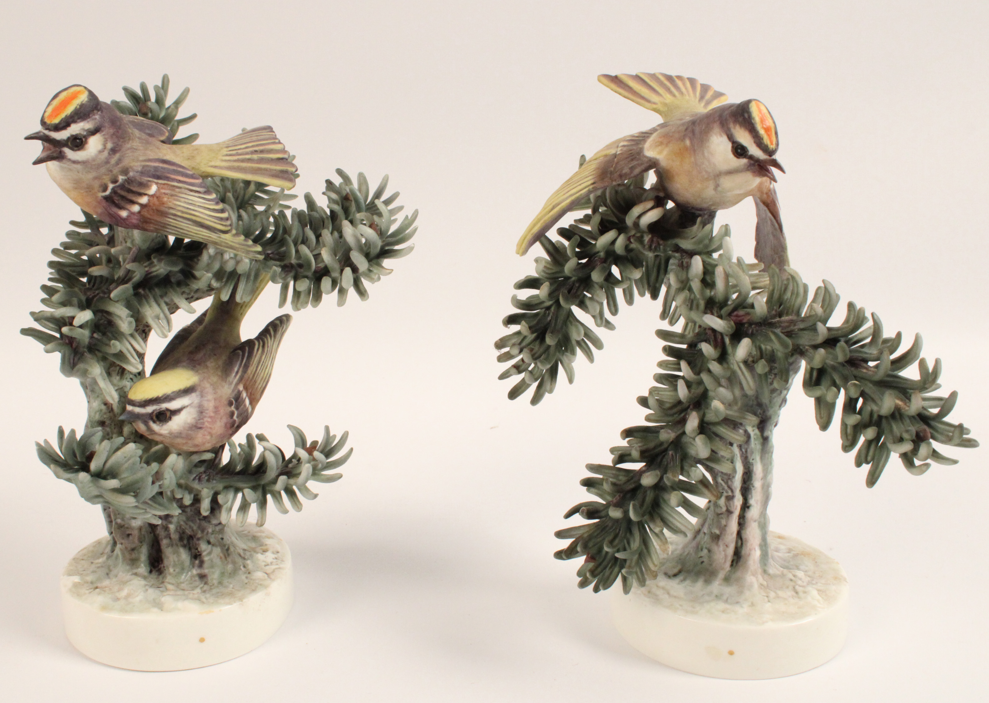 GROUP OF GOLDEN CROWNED KINGLETS BY