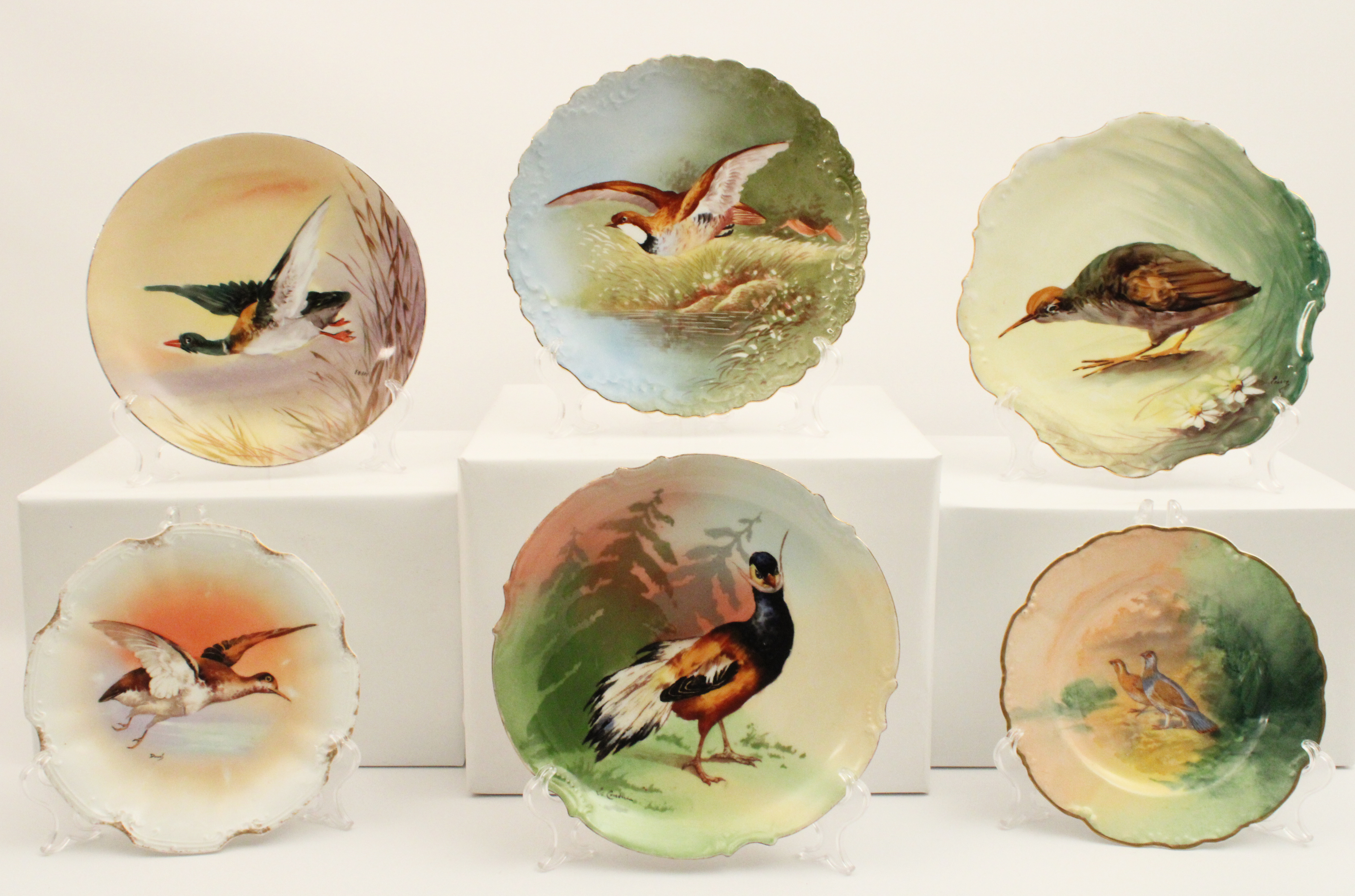 6 HAND PAINTED LIMOGES BIRD PLATES;